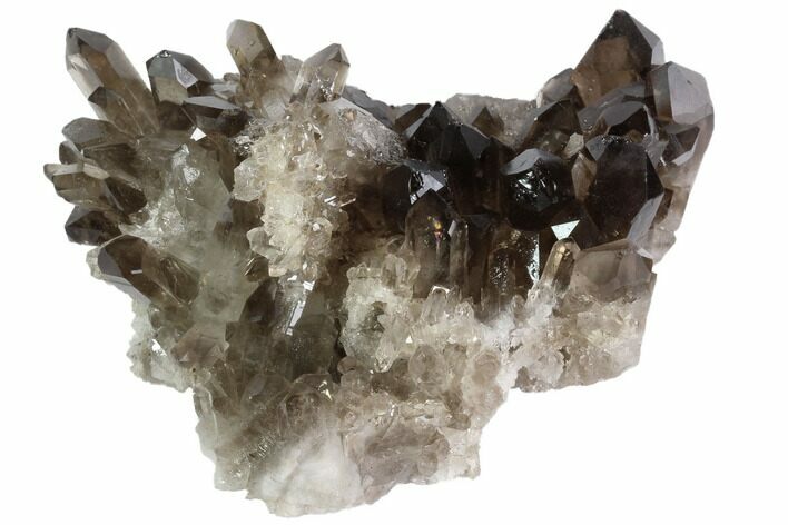 Dark Smoky Quartz Crystal Cluster - Brazil #84842